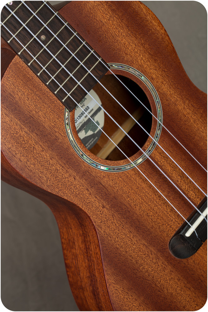 Fender Pa'ina -Solid Mahogany Tenor Ukulele w/ Pickup