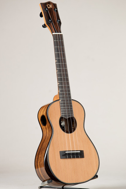 'Oli Cedar Acacia Concert (L2-CCA 334)