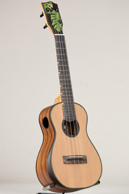 'Oli Cedar Acacia Monstera Concert Satin (L2-CCAS 536 v2)