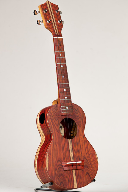 Cocobolo Concert Package #564