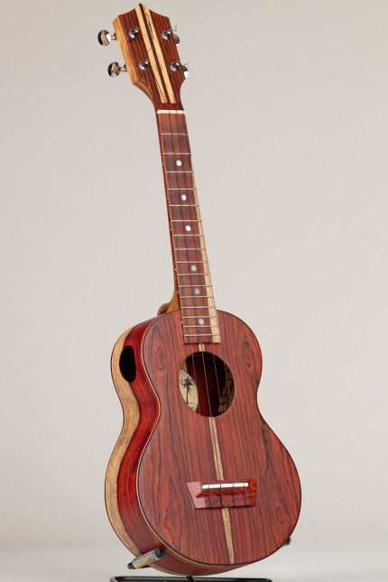 Cocobolo Concert Package #565