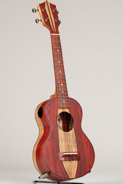 Cocobolo Concert Package #566