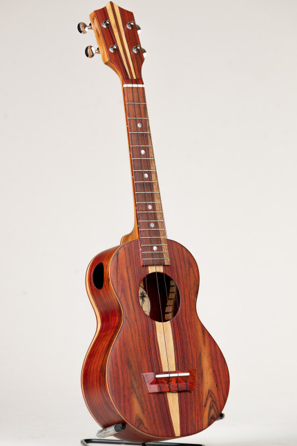 Cocobolo Concert Package #571