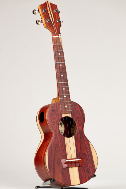Cocobolo Concert Package #572