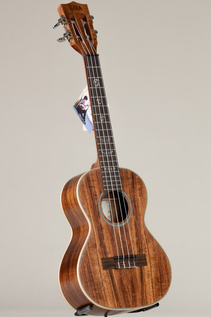 Fender Mino'aka Mahogany Concert Ukulele