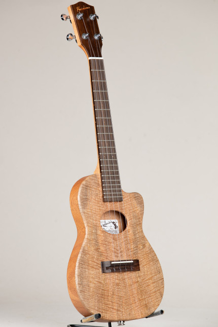 Ko'olau Chambered Body Tenor Acoustic Electric (Mango Satin T-AE 20244)