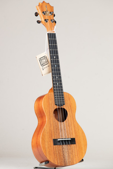 KoAloha NEW Pikake Koa Tenor Satin (KTM-10 248811)